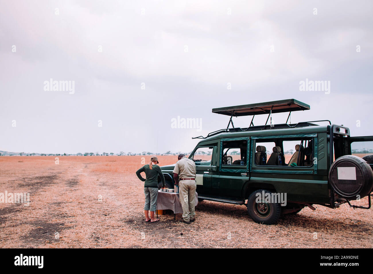 Giu 21, 2011 Serengeti Tanzania - turisti e tavolo da picnic accanto a AUTO Jeep Safari carrello in golden campo in erba della savana del Serengeti foresta in tanza Foto Stock