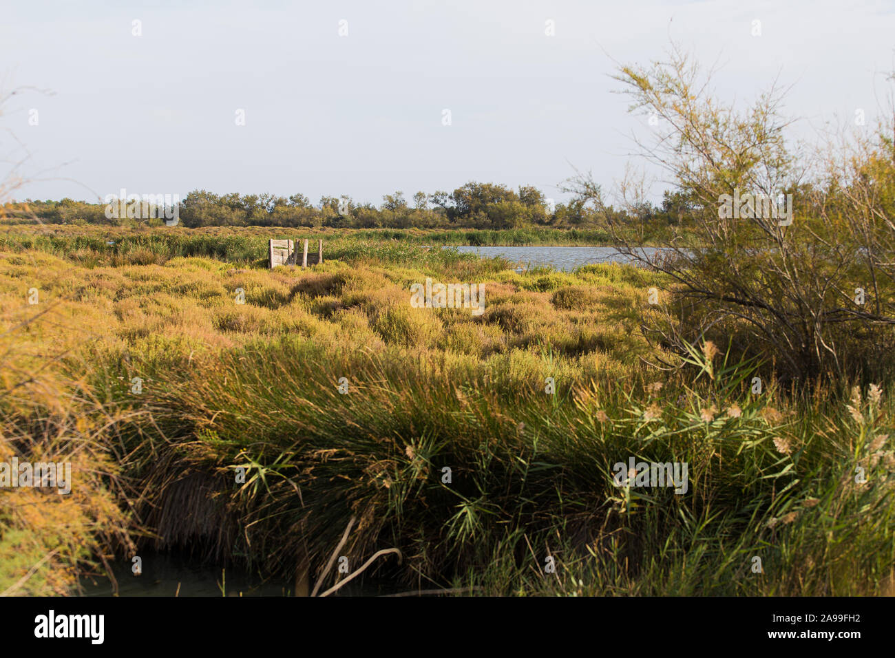 Nascondi in legno posto su una macchia di zone umide per il bird watching in La Camargue, zone umide, Francia Foto Stock