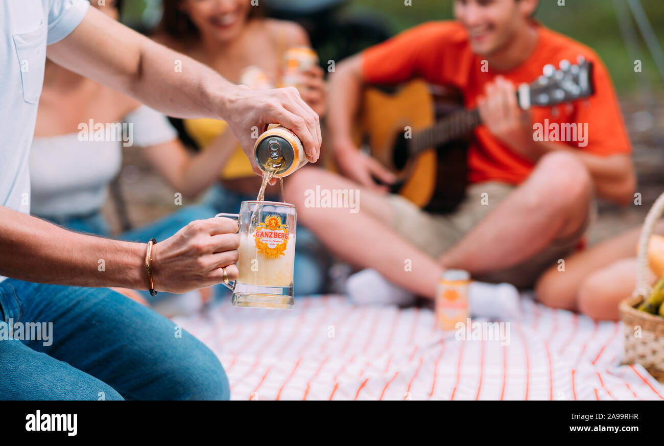 Felice tempo a fare un picnic Party ganzberg bere birra con gli amici e un Barbeque sul weekend Foto Stock