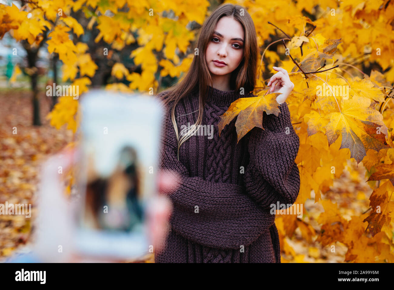 Bella giovane donna in posa mentre il suo ragazzo è di scattare una foto in autunno park Foto Stock