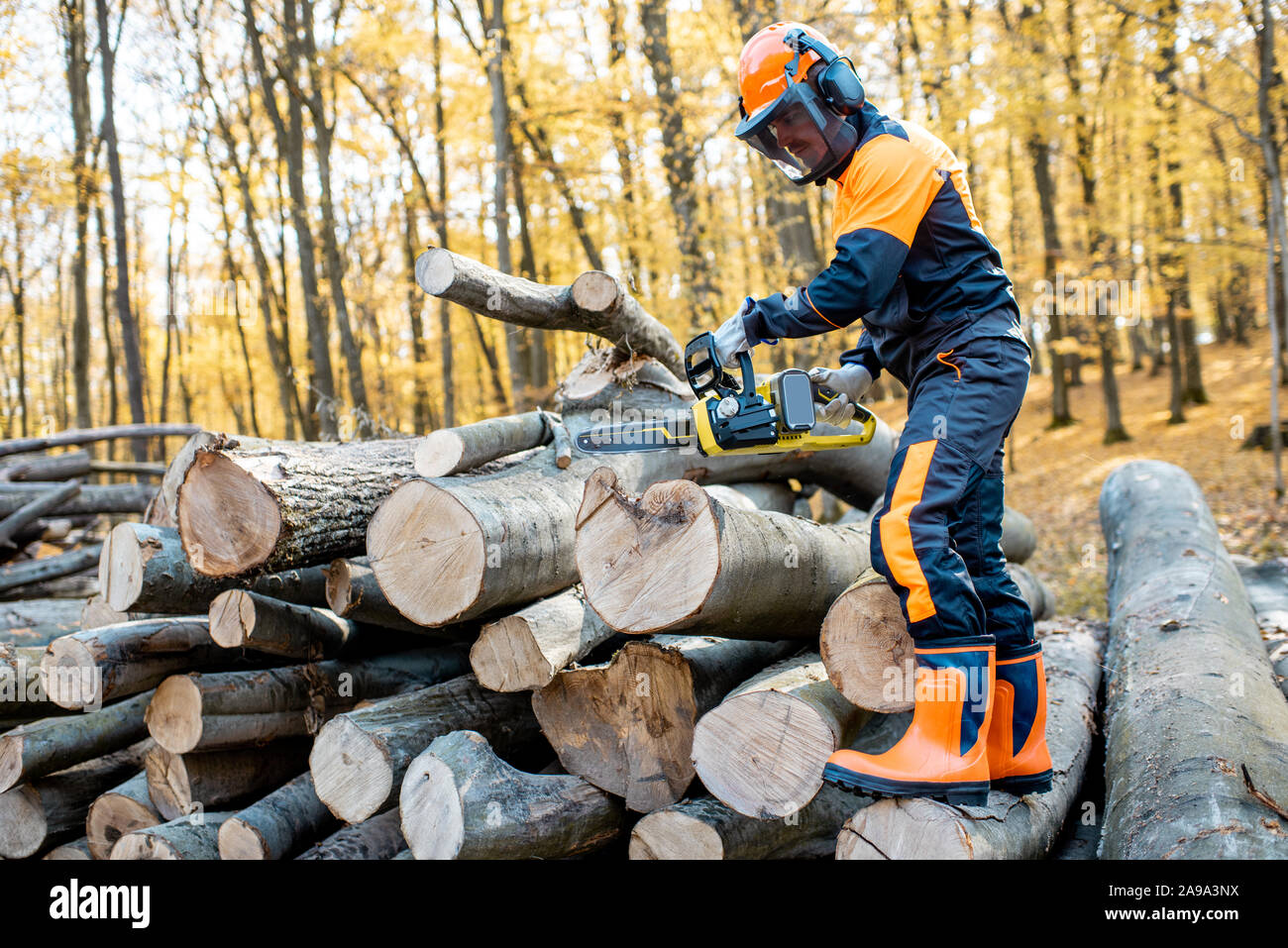 Lumberjack professionale in indumenti da lavoro protettiva lavora con un chainsaw nella foresta. Il taglialegna fa un accesso all'aperto Foto Stock