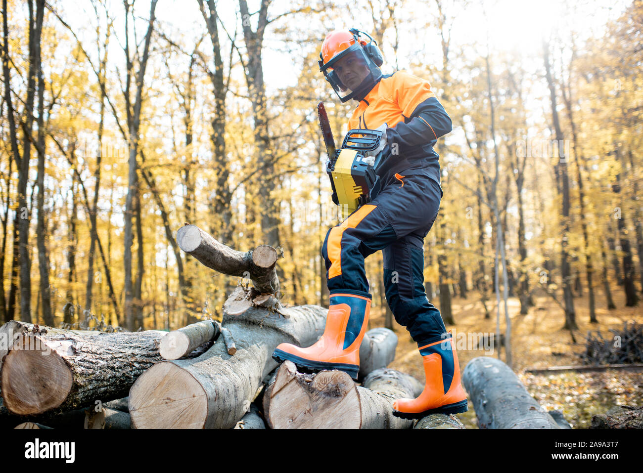 Lumberjack professionale in indumenti da lavoro protettiva lavora con un chainsaw nella foresta. Il taglialegna fa un accesso all'aperto Foto Stock