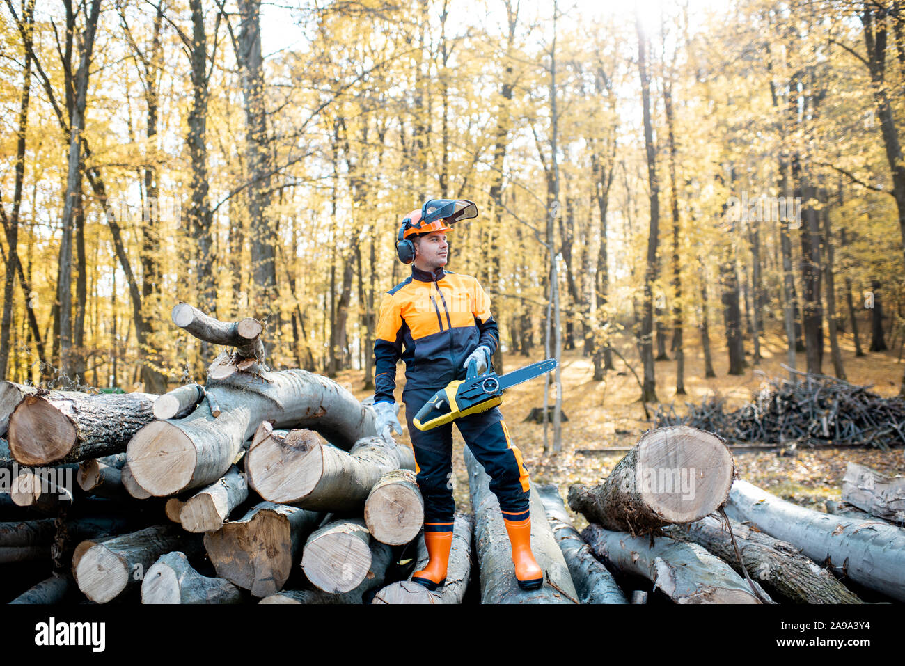 Ritratto di un professionista lumberjack in indumenti da lavoro protettiva in piedi con una motosega su una pila di registri nella foresta Foto Stock