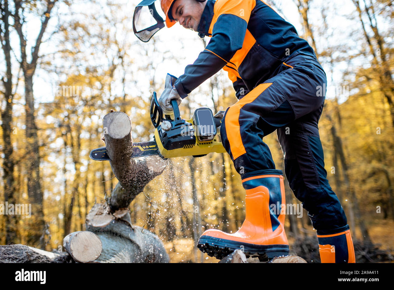 Lumberjack professionale in indumenti da lavoro protettiva lavora con una motosega nel bosco, segare una spessa log in legno Foto Stock