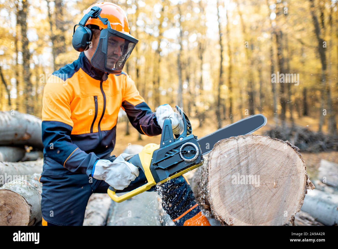 Lumberjack professionale in indumenti da lavoro protettiva lavora con una motosega nel bosco, segare una spessa log in legno Foto Stock