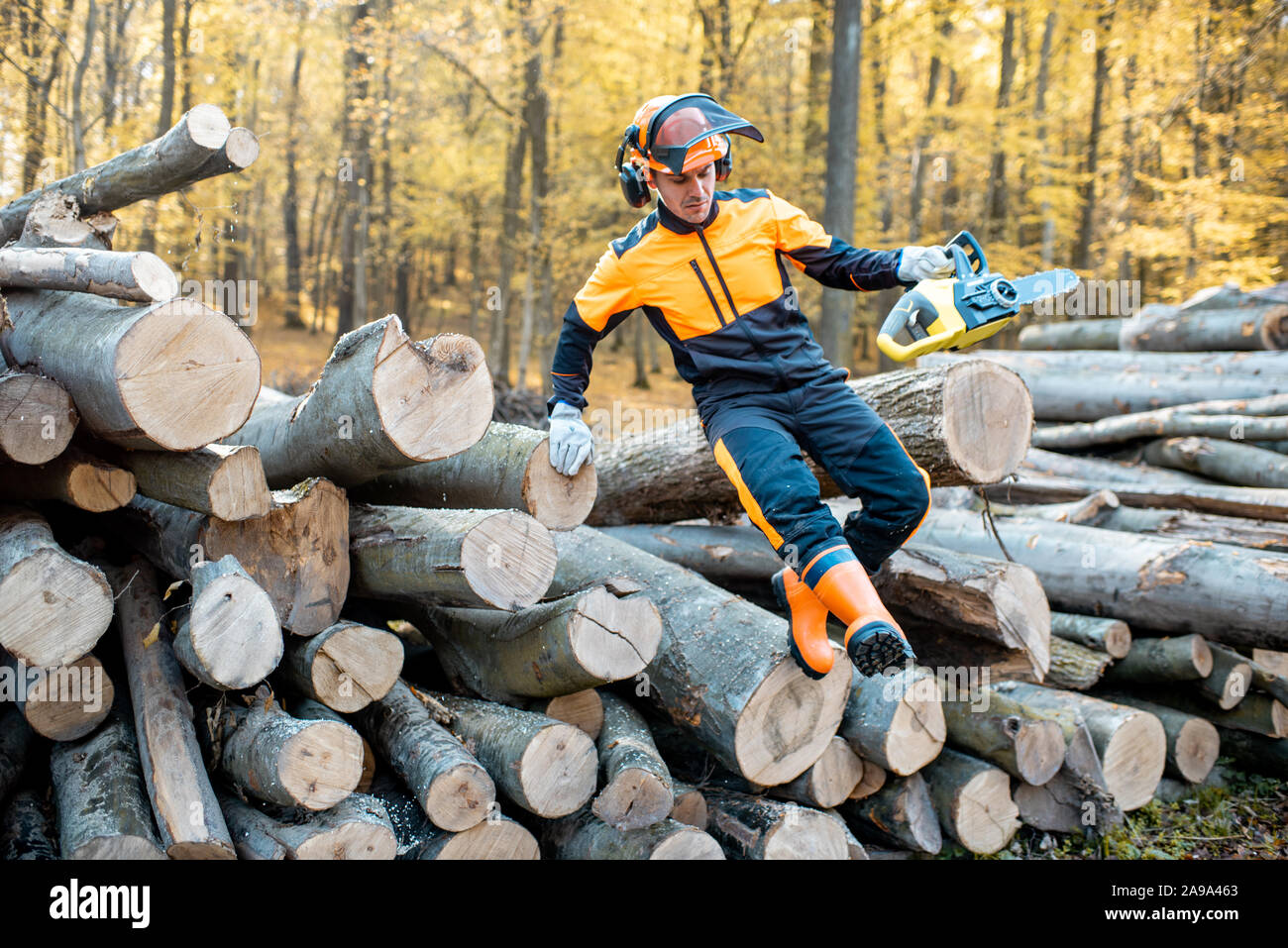 Lumberjack professionale in indumenti da lavoro protettiva jumping con una sega a nastro da un mucchio di tronchi nella foresta Foto Stock