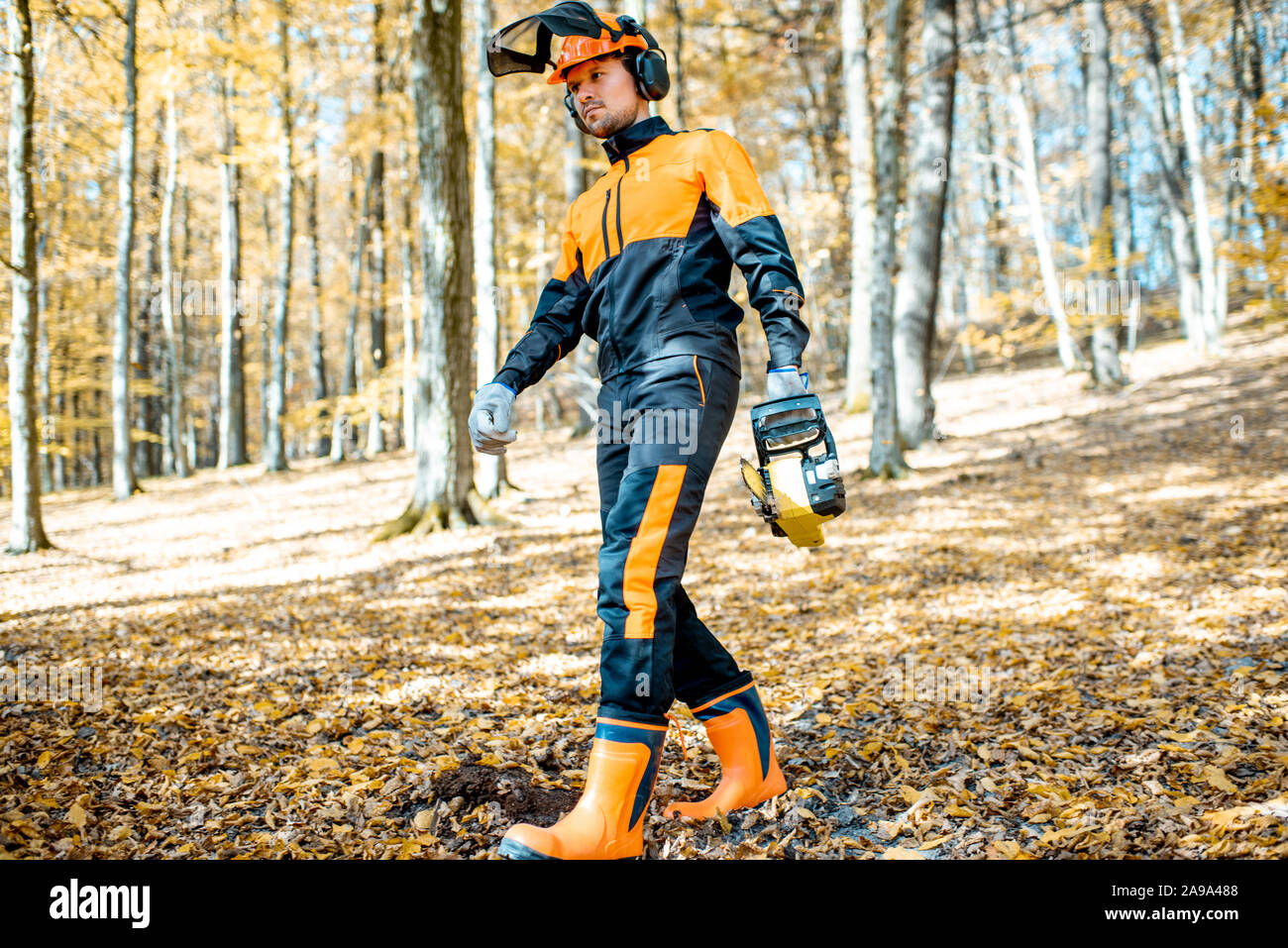 Ritratto di uno stile di vita di un professionista lumberjack in indumenti da lavoro protettiva a piedi con una motosega nel bosco Foto Stock