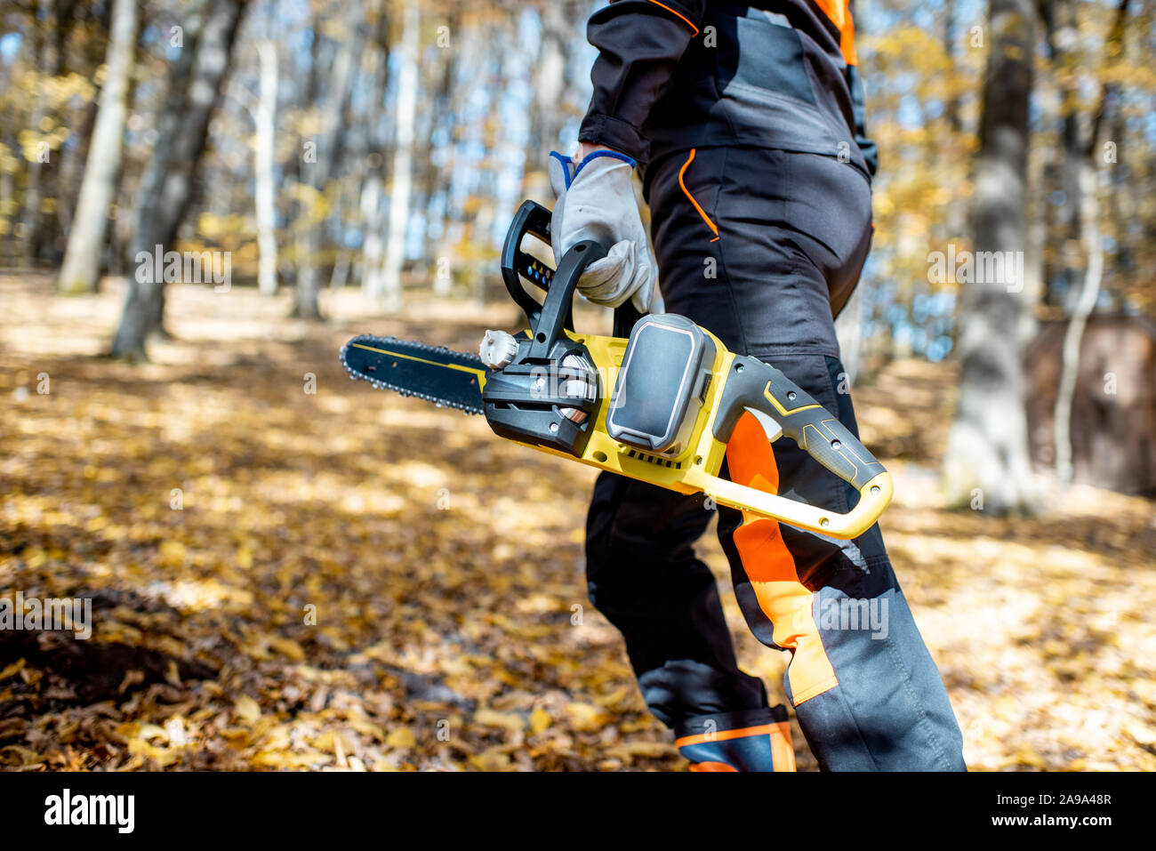 Lumberjack professionale in indumenti da lavoro protettiva a piedi con una motosega nel bosco, close-up su una sega Foto Stock