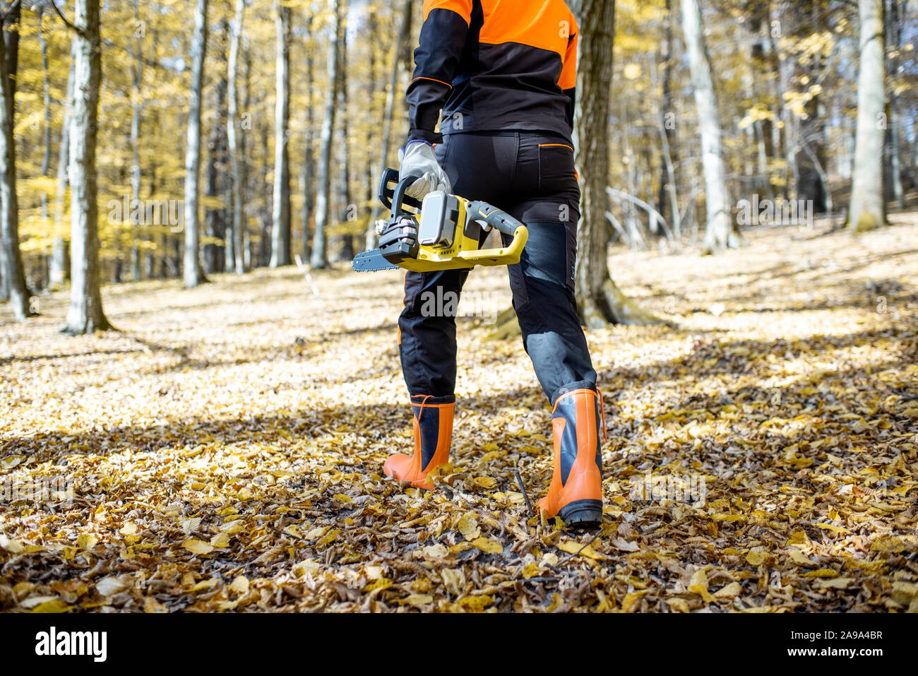 Lumberjack professionale in indumenti da lavoro protettiva a piedi con una motosega nel bosco, vista posteriore Foto Stock