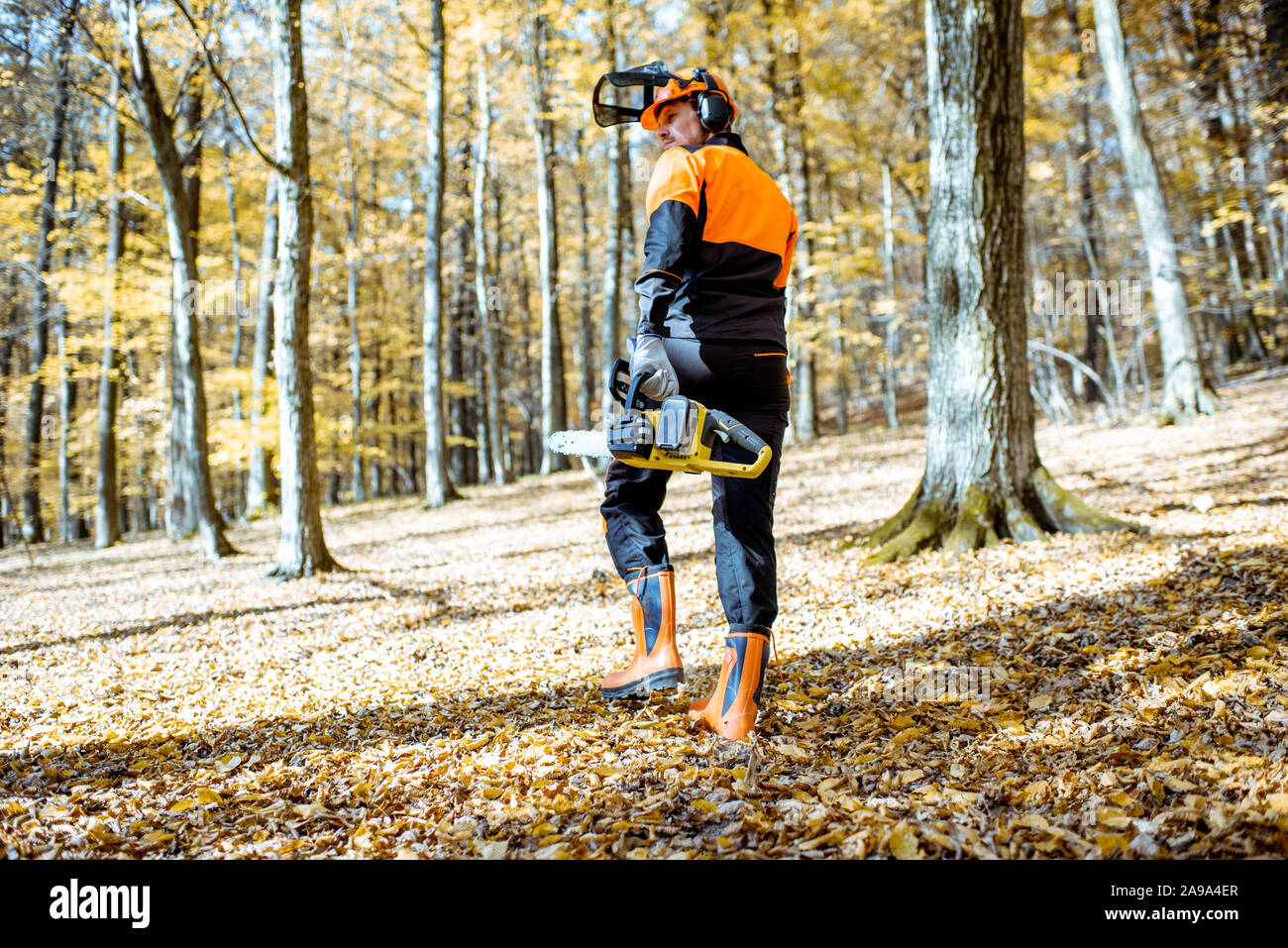 Ritratto di un professionista lumberjack in indumenti da lavoro protettiva a piedi con una motosega nel bosco, vista posteriore Foto Stock