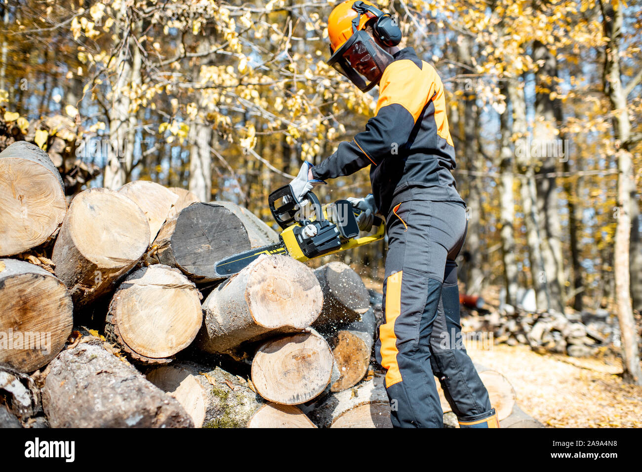 Lumberjack professionale in indumenti da lavoro protettiva lavora con una motosega nel bosco, segare tronchi di legno Foto Stock