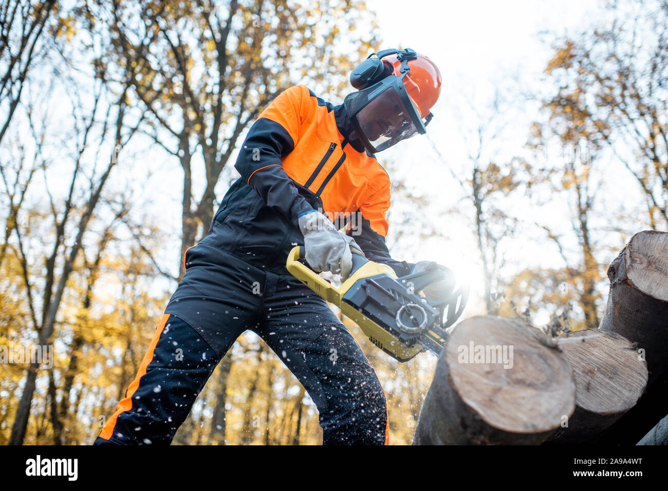Lumberjack professionale in indumenti da lavoro protettiva lavora con una motosega nel bosco, segare tronchi di legno Foto Stock
