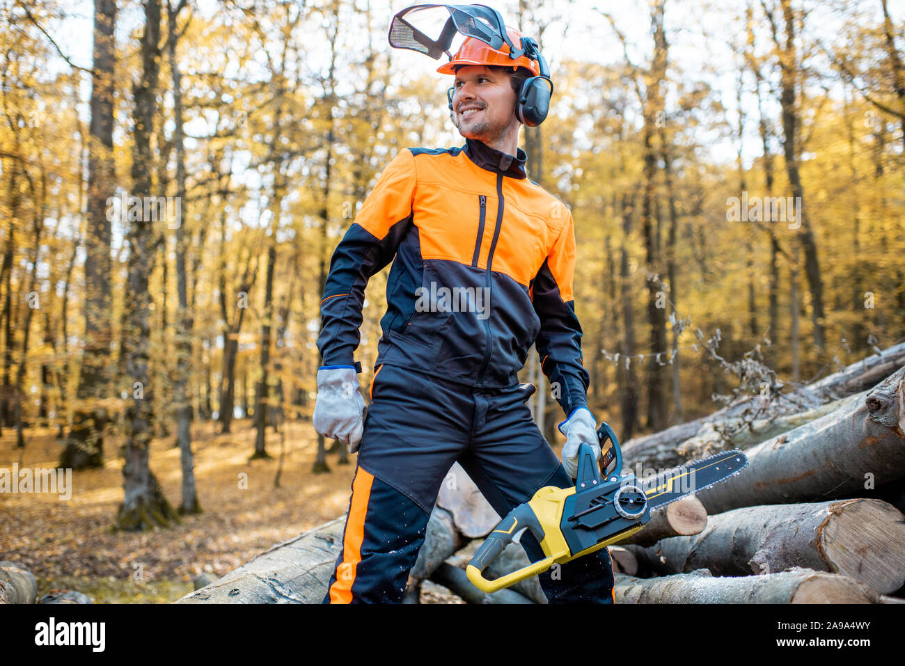 Ritratto di un bel professional lumberjack in indumenti da lavoro protettiva con un chainsaw vicino i tronchi di legno nella foresta Foto Stock