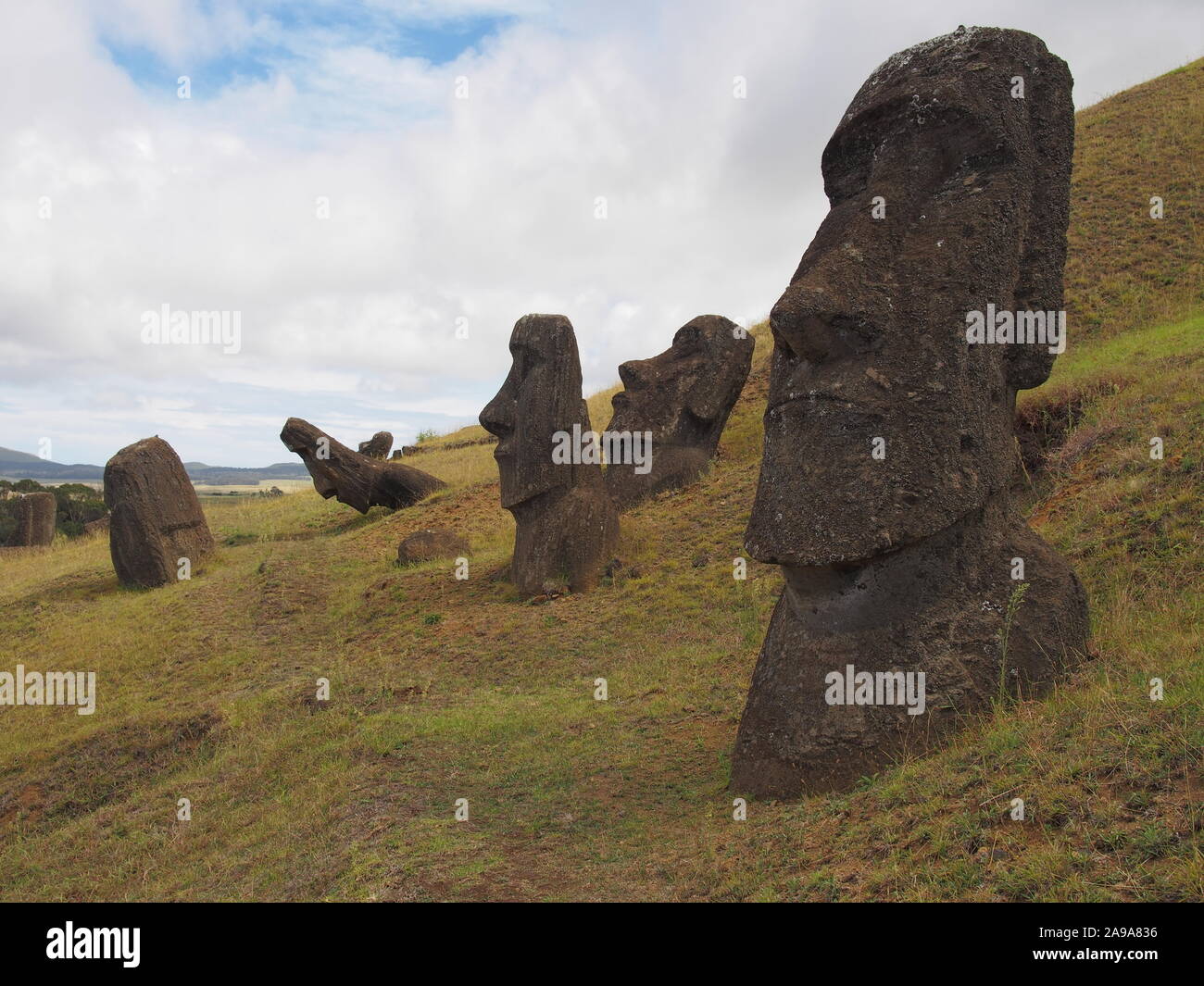 Quarry Rano Raraku Rapa Nui (l'Isola di Pasqua) - vista collina di Moai statue in varie fasi di carving - Rapa Nui (l'Isola di Pasqua) Foto Stock