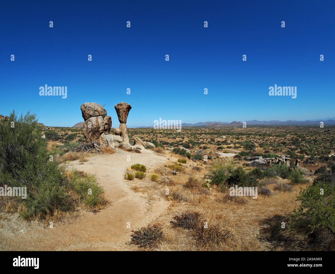 Roccia del fungo, Scottsdale, Arizona bellissima ampia vista sul paesaggio del deserto Foto Stock