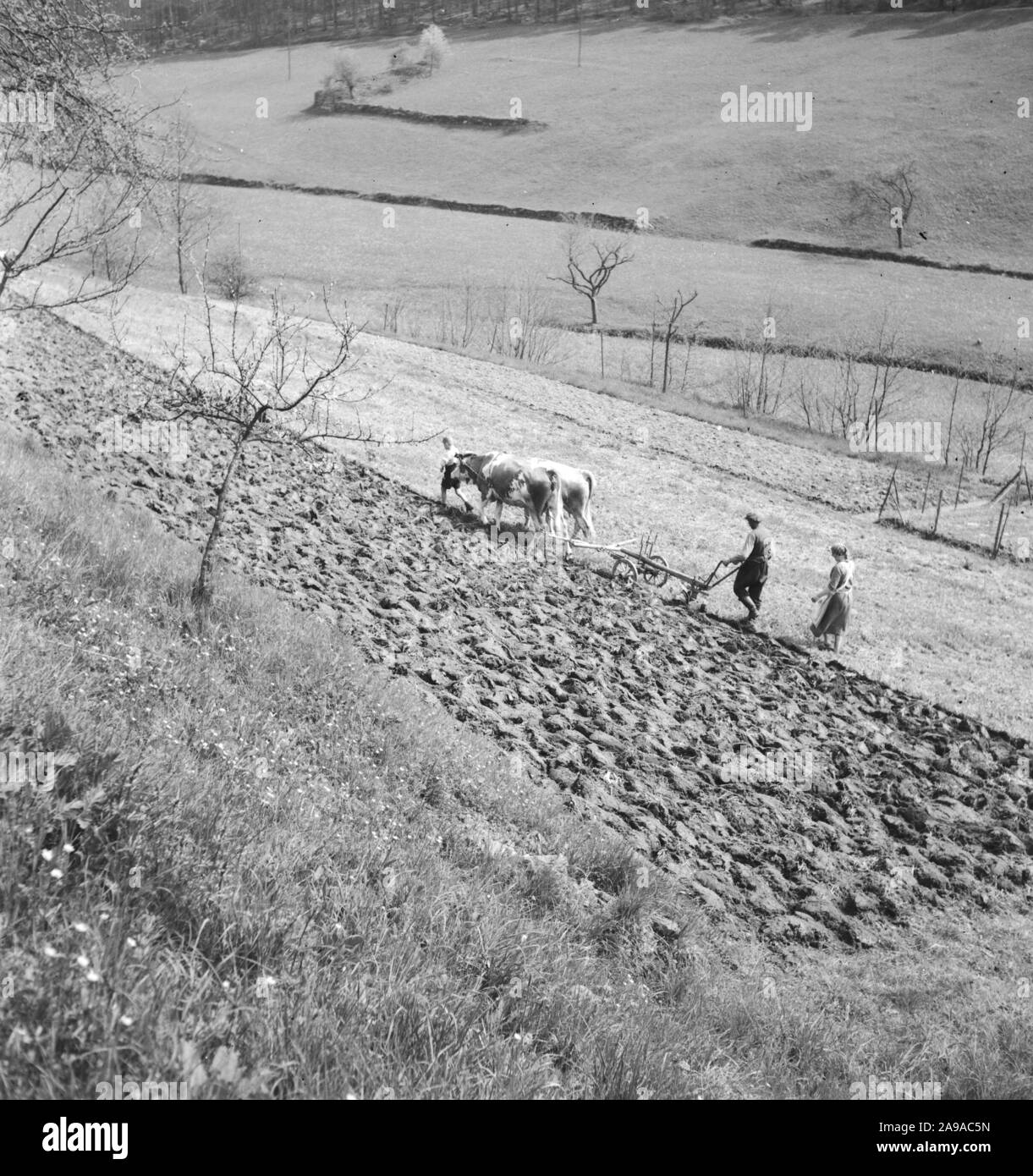 Estate in campagna, Germania 1930s. Foto Stock