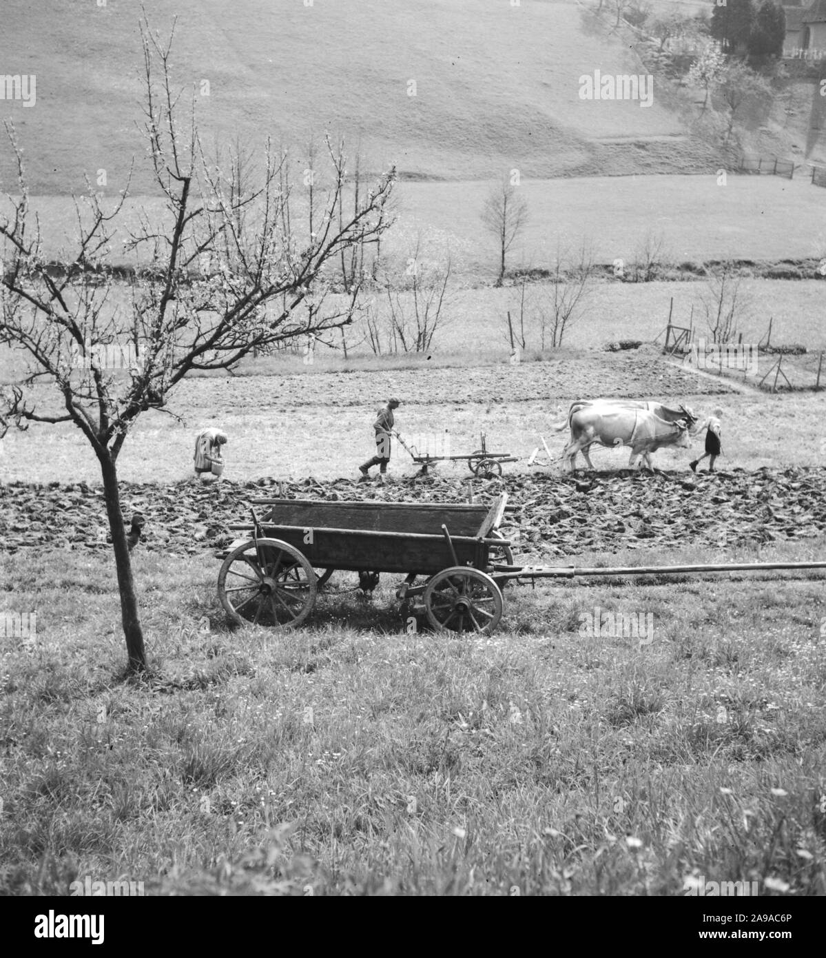 Estate in campagna, Germania 1930s. Foto Stock