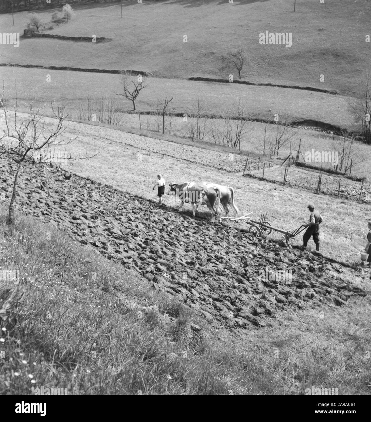 Estate in campagna, Germania 1930s. Foto Stock