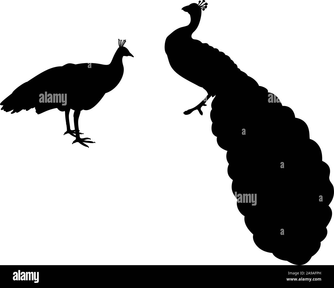 Silhouette di due Peacock . Sagome di animali uccelli. Vector illustrator Illustrazione Vettoriale