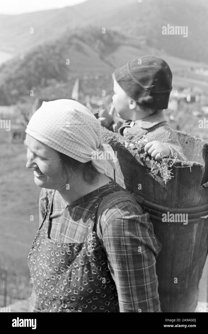 La vitivinicoltura in primavera la valle di Wachau in Austria, Germania 1930s. Foto Stock