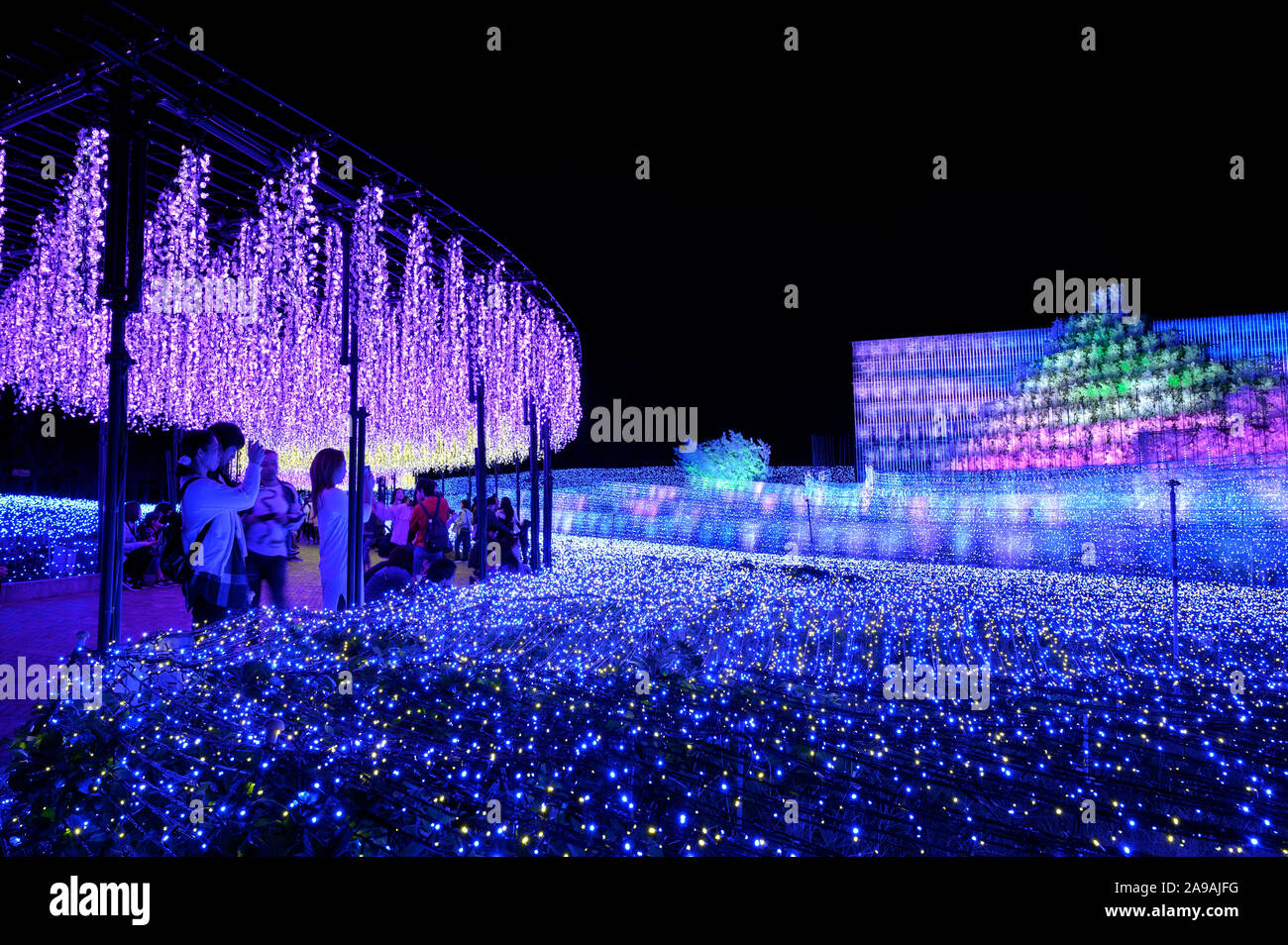 Nabana no Sato Flower Garden, illuminazione invernale 2020. 'Sakura' tema con LED glicine. Foto Stock