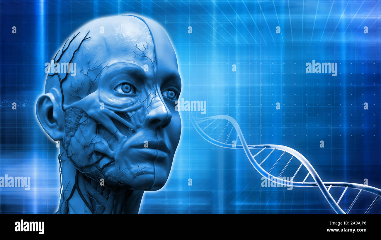 Abstract sullo sfondo di un corpo umano anatomia e dna , anatomia muscolare struttura in blu sullo sfondo medicale dna , anatomia umana modello 3D render Foto Stock