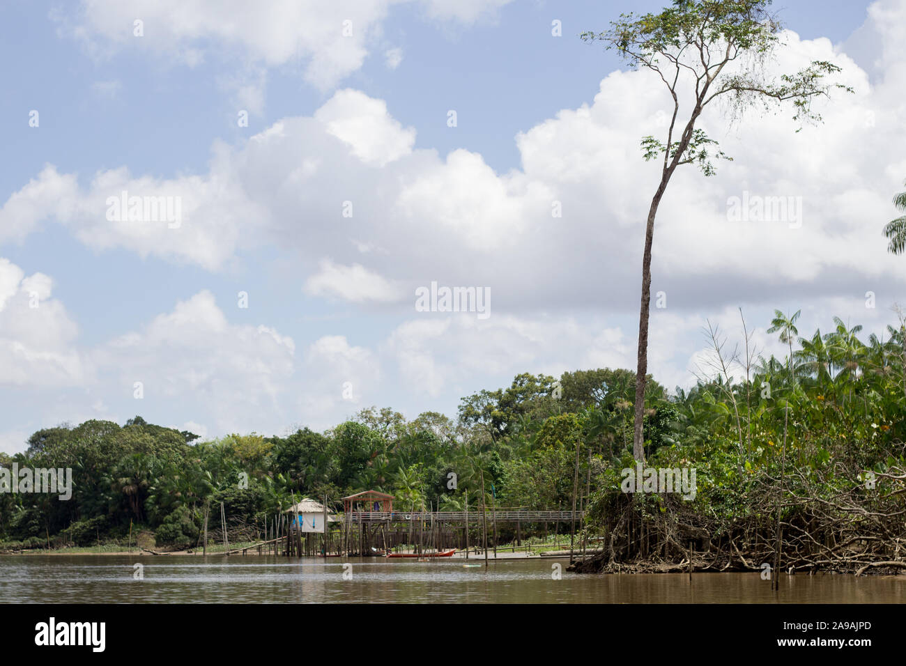 Belém e ver-o-fiera in pesos visto dalla baia di Guajará Foto Stock