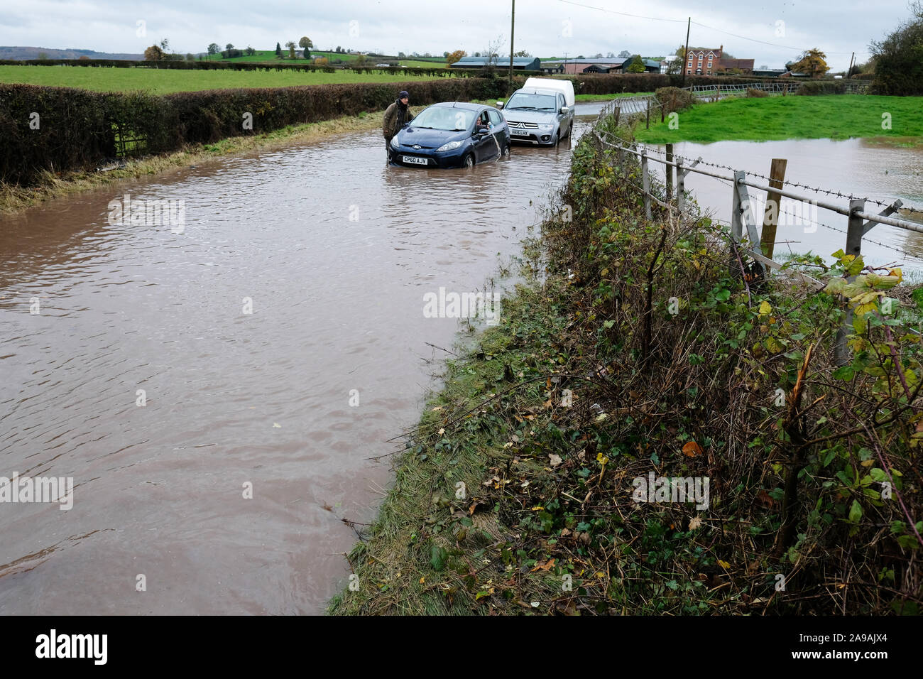 Bodenham, Herefordshire, UK - Giovedì 14 Novembre 2019 - passaggio di un agricoltore si ferma a favore di una vettura bloccato in acque profonde su una strada di campagna nei pressi del villaggio di Bodenham dopo ulteriore pioggia caduta sul già saturo campi. Il passeggero è affidando l'acqua fuori dall'interno dell'auto. Foto Steven Maggio / Alamy Live News Foto Stock