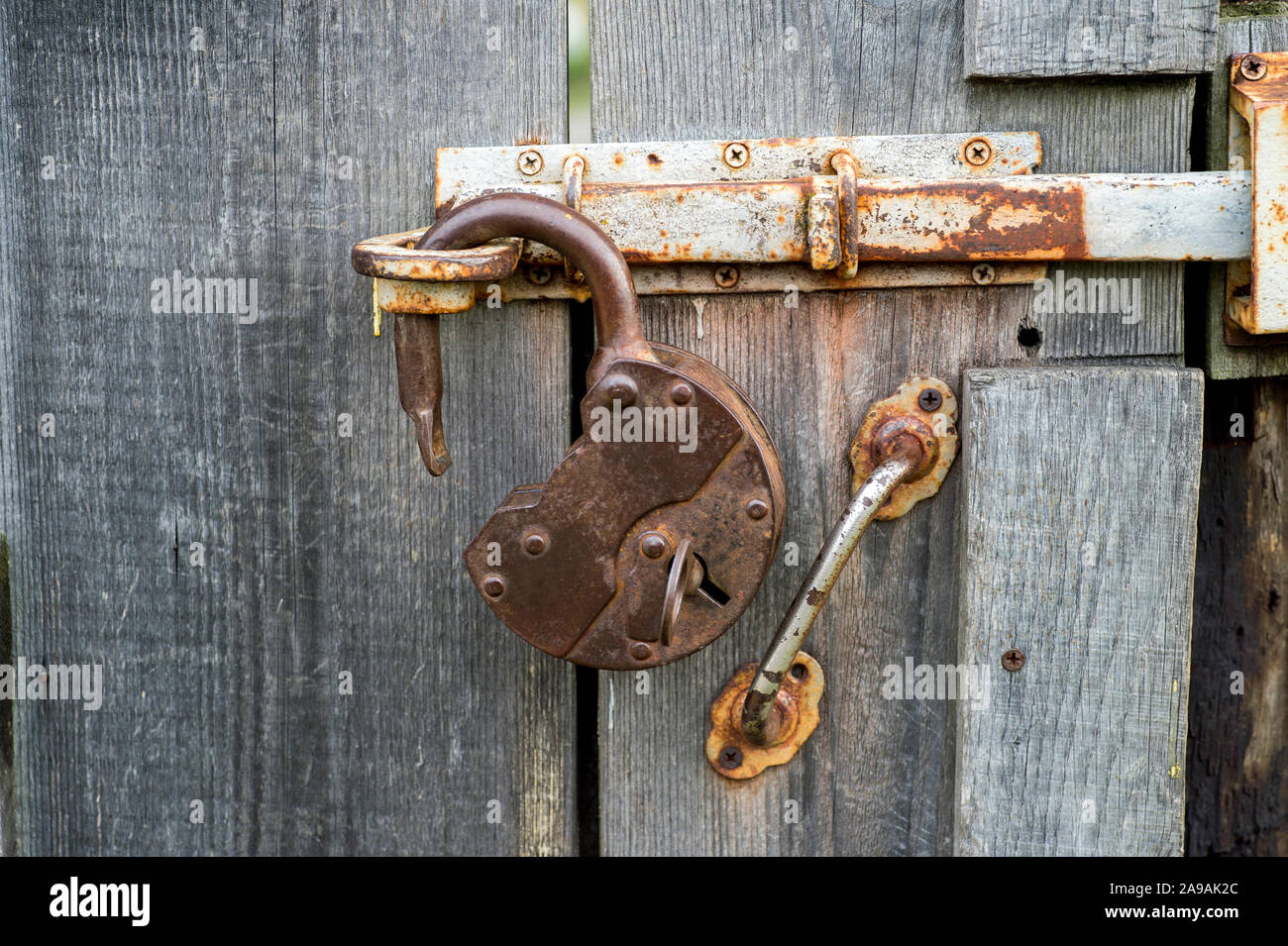 Un antico aprire il ferro battuto serratura con una chiave inserita si  blocca sulla chiusura di una vecchia porta di legno. Sfondo Foto stock -  Alamy