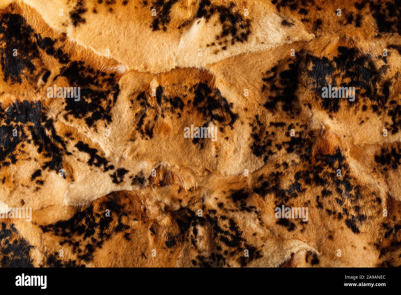 Nero e Marrone leopard pattern. Animali da pelliccia stampa come sfondo. Foto Stock