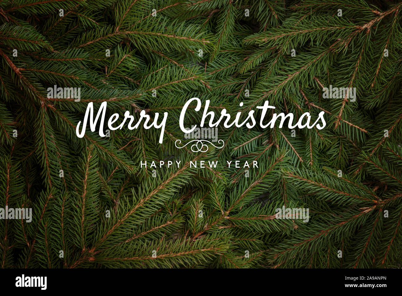 Buon Natale e Felice Anno Nuovo testo di saluto con albero di Natale Abete rami in background. Foto Stock