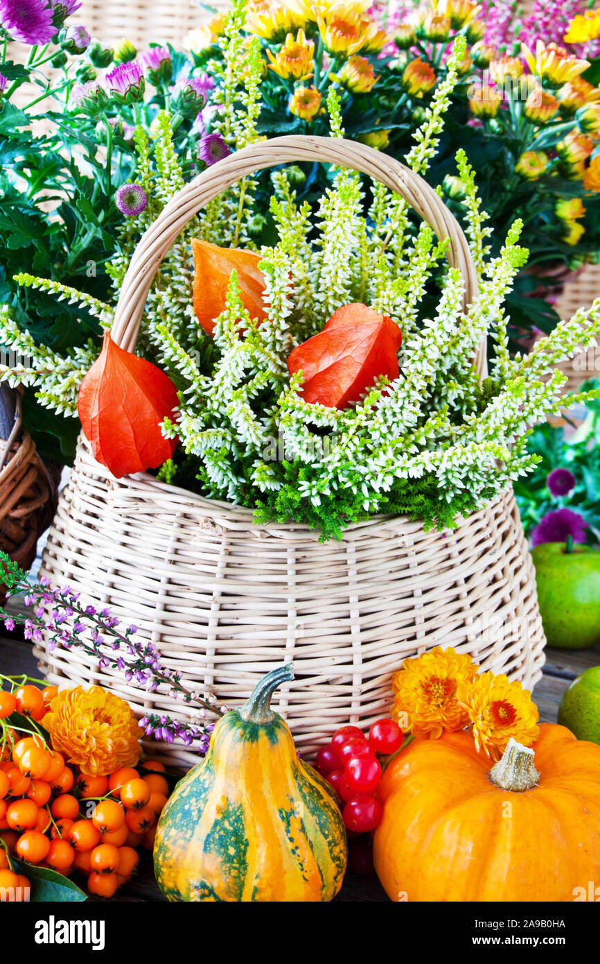 Autunno decorazioni con zucche e fiori Foto stock - Alamy