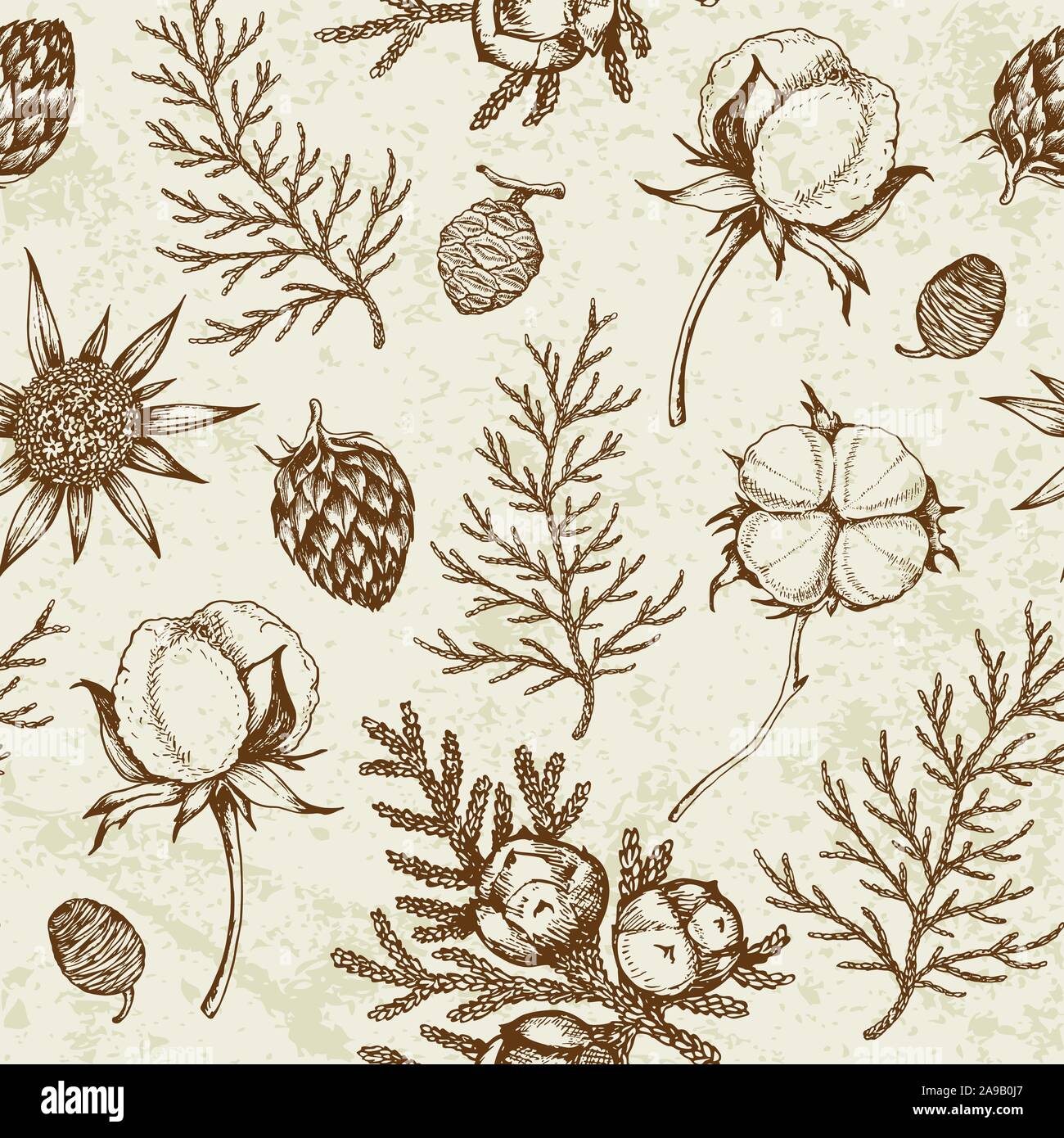 Vintage inverno seamless pattern con piante sempreverdi e fiori di cotone. Sfondo decorativo per il Natale e il nuovo anno. Disegnato a mano disegno vettoriale. Illustrazione Vettoriale