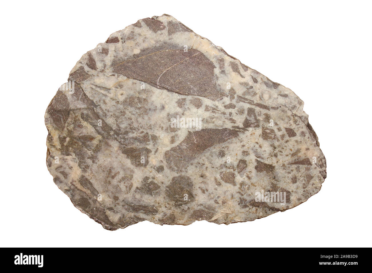 Breccia campione di roccia Foto Stock