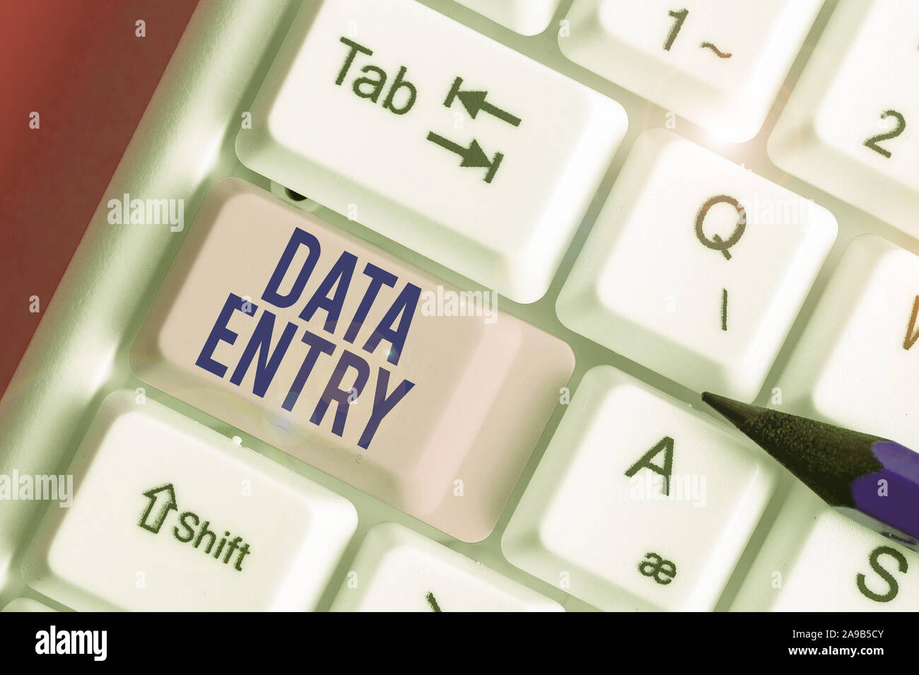 Testo della scrittura di immissione dei dati. Foto concettuale processo di inserimento dati o informazioni nel computer Foto Stock