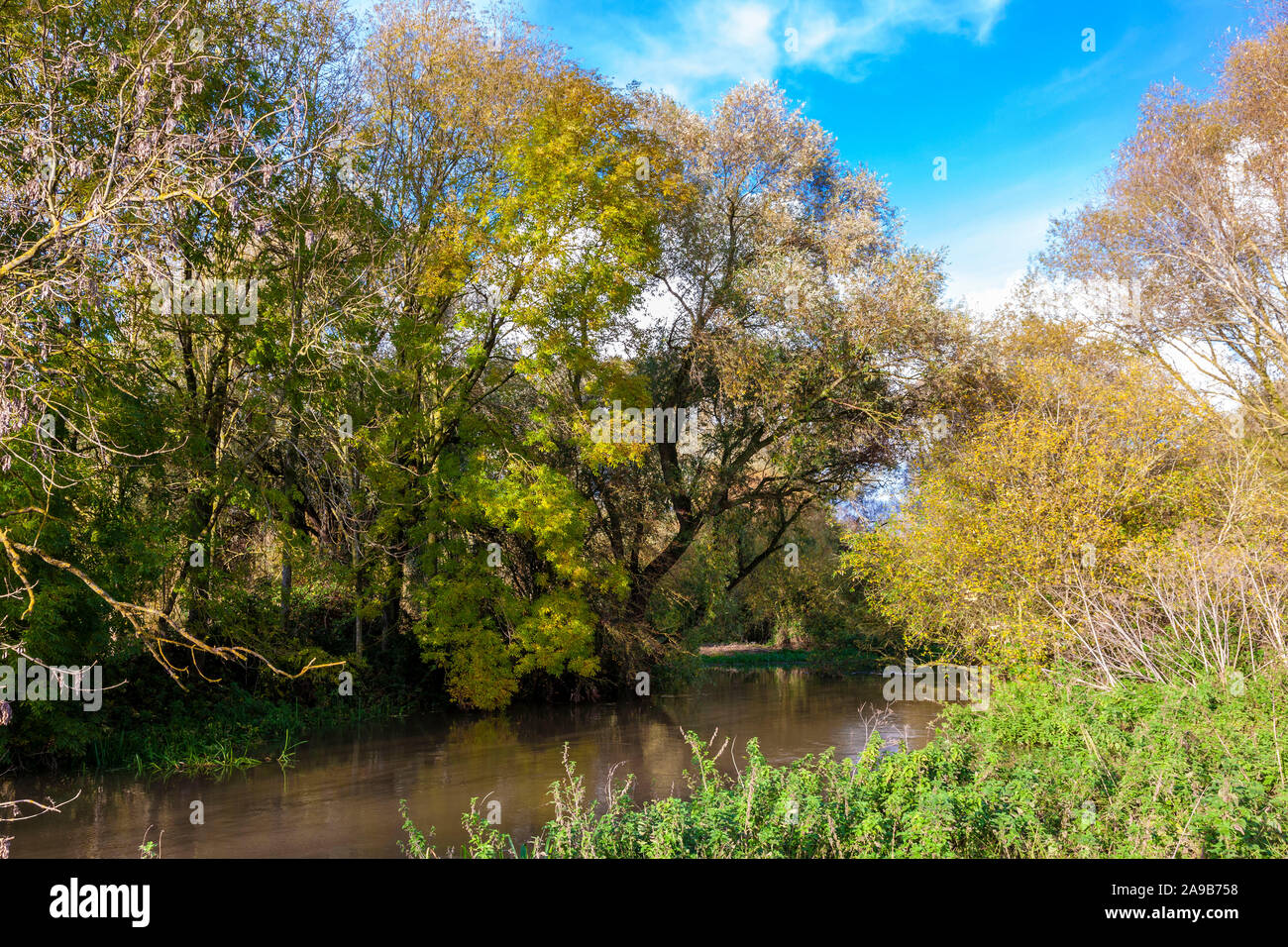 Fiume Nene in pieno flusso a causa della pioggia pesante, Northamptonshire. Regno Unito. Foto Stock