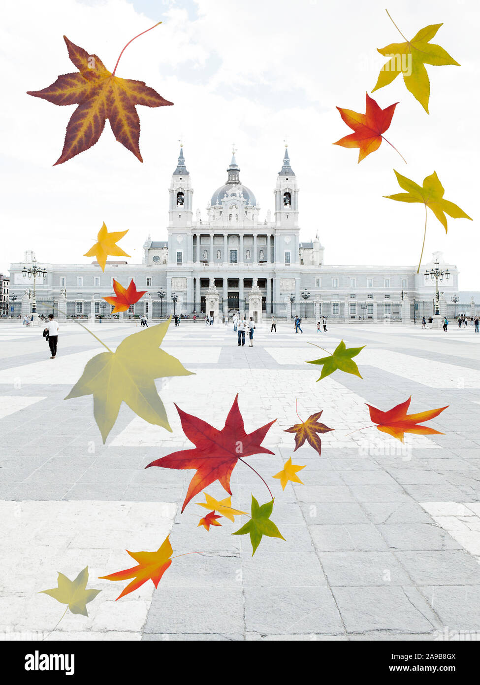 Fogliame in movimento a causa del vento al di fuori dalla cattedrale Almudena madrid Foto Stock