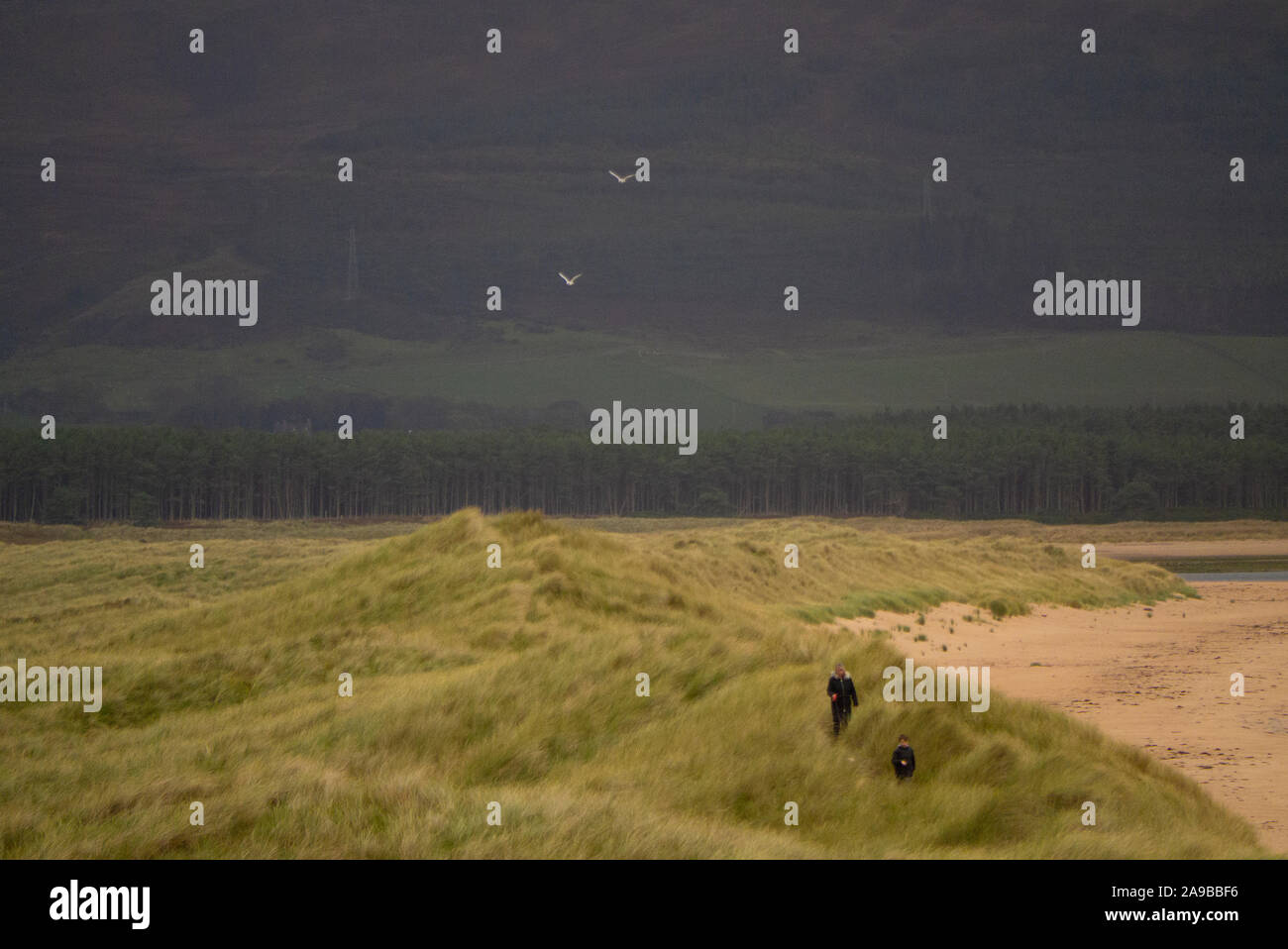 Coul Links Sutherland Scotland Regno Unito Foto Stock