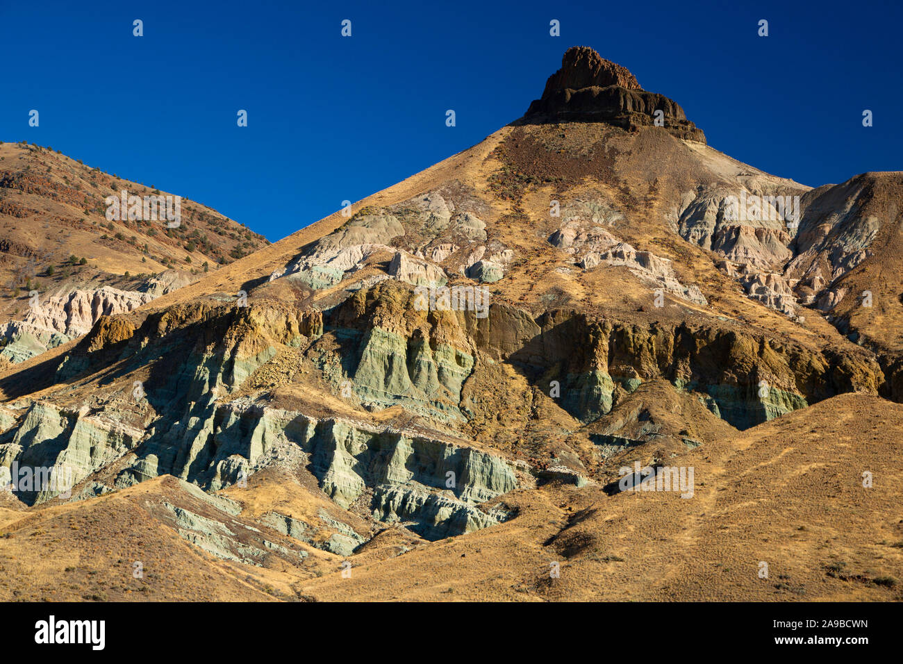 Pecore Rock, rock di pecora, unità di John Day Fossil Beds National Monument, John giorno stato Fiume Scenic fluviale, Oregon Foto Stock