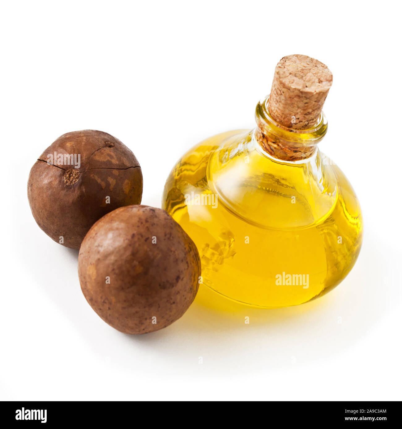 Olio di macadamia e dadi contro uno sfondo bianco Foto Stock