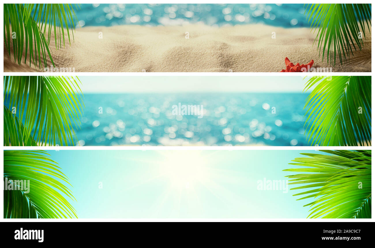 Set di splendida spiaggia tropicale banner. Paesaggio estivo con palme da cocco sulla sfocatura defocalizzata mare blu o Sfondo oceano. La vacanza estiva concept Foto Stock