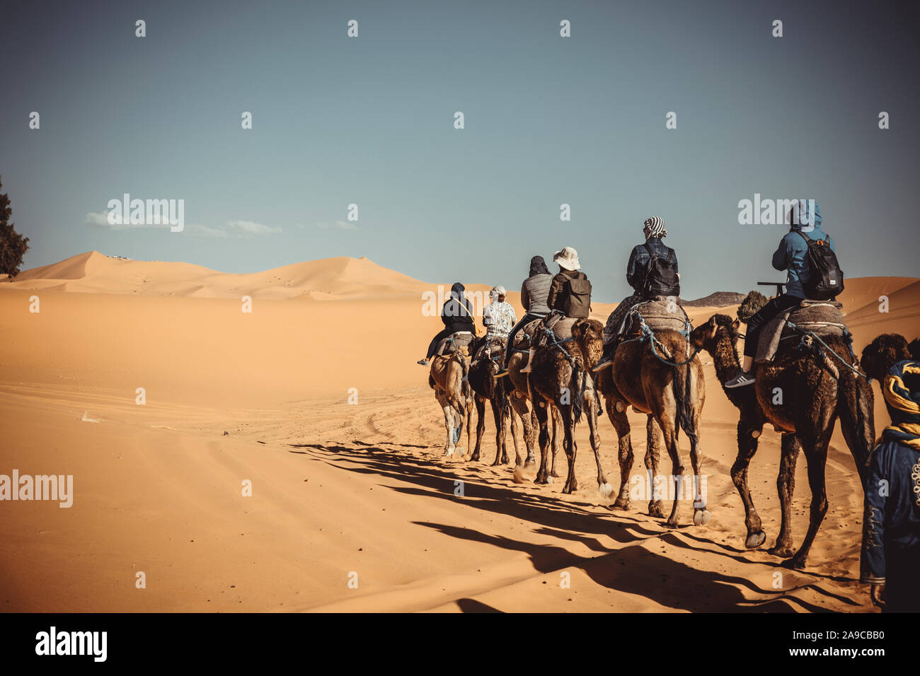 Persone di dromedario attraverso il deserto Foto Stock