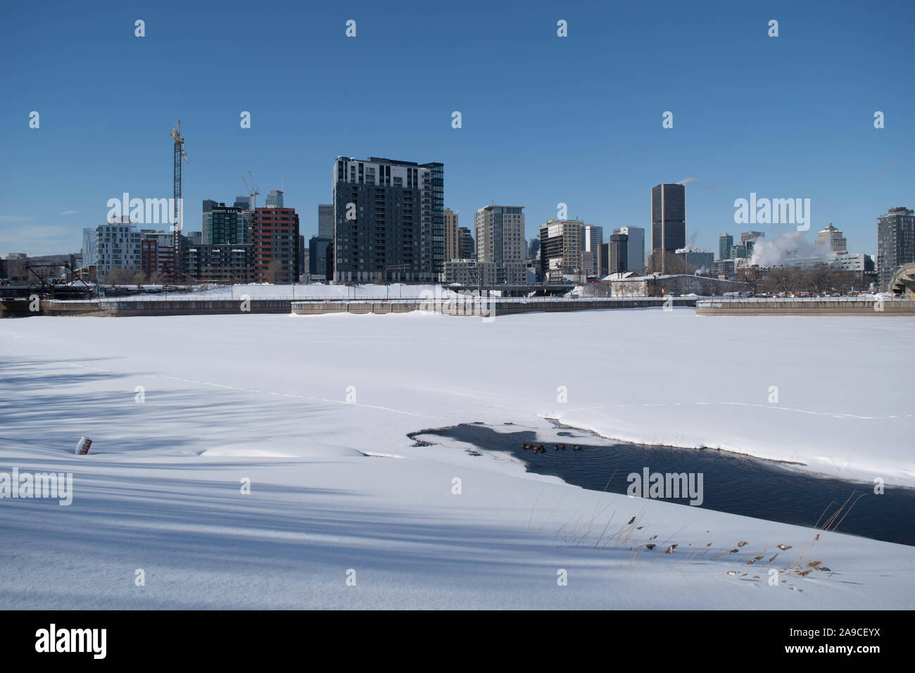 Città con un lago di ghiaccio e neve in piano del primer. Montreal in inverno Foto Stock