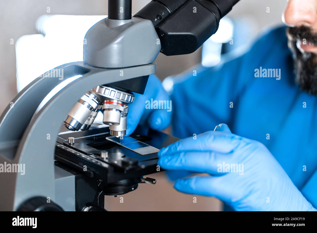 Maschio assistente di laboratorio esaminando campioni di biomateriale in un microscopio. Cllose fino a mani in blu di guanti di gomma regolare il microscopio. Foto Stock