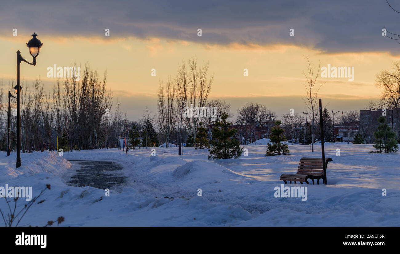 Il Parco in inverno con neve e ghiaccio Foto Stock