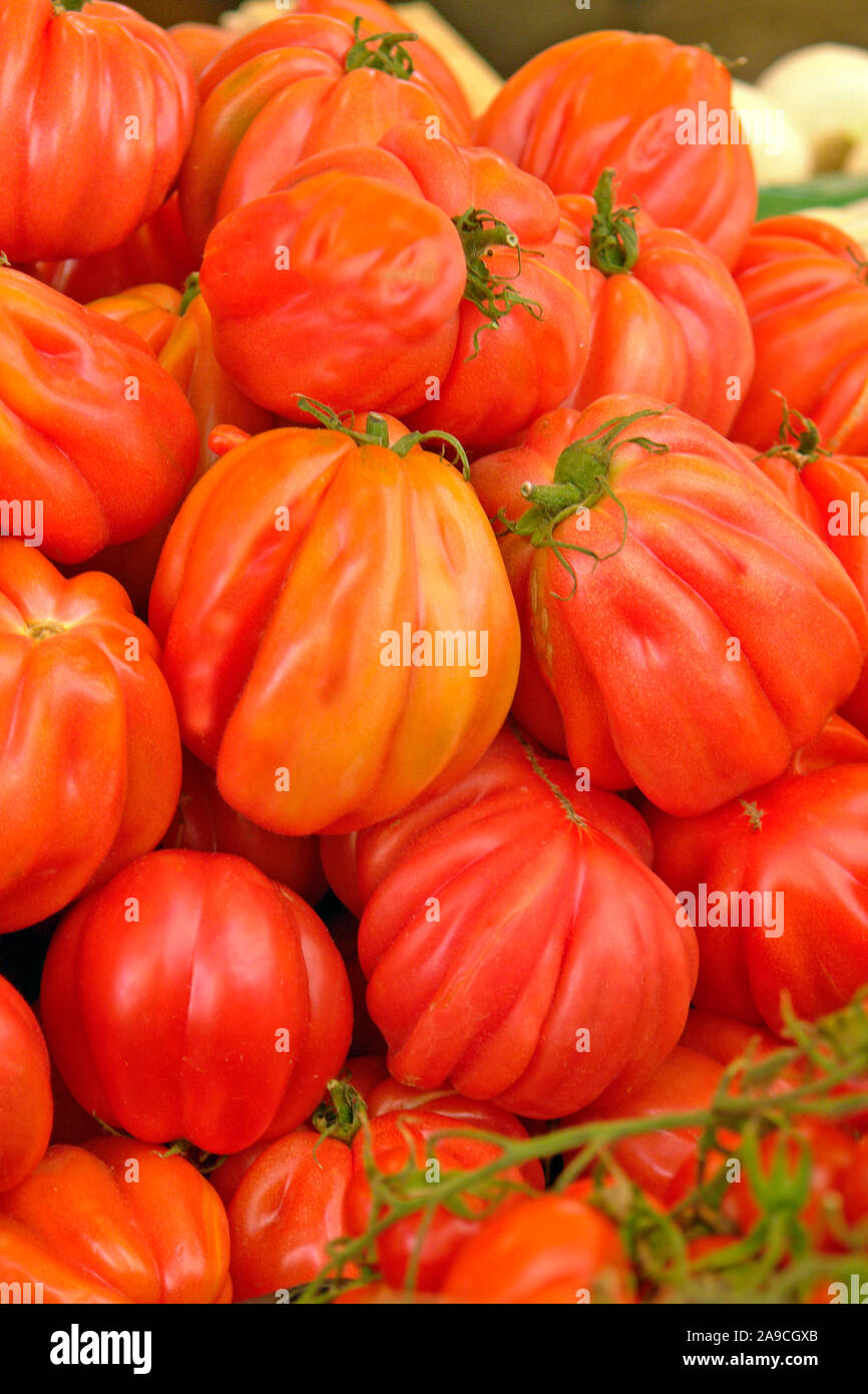 Grosse Tomaten - Fleichtomaten - Italien Foto Stock