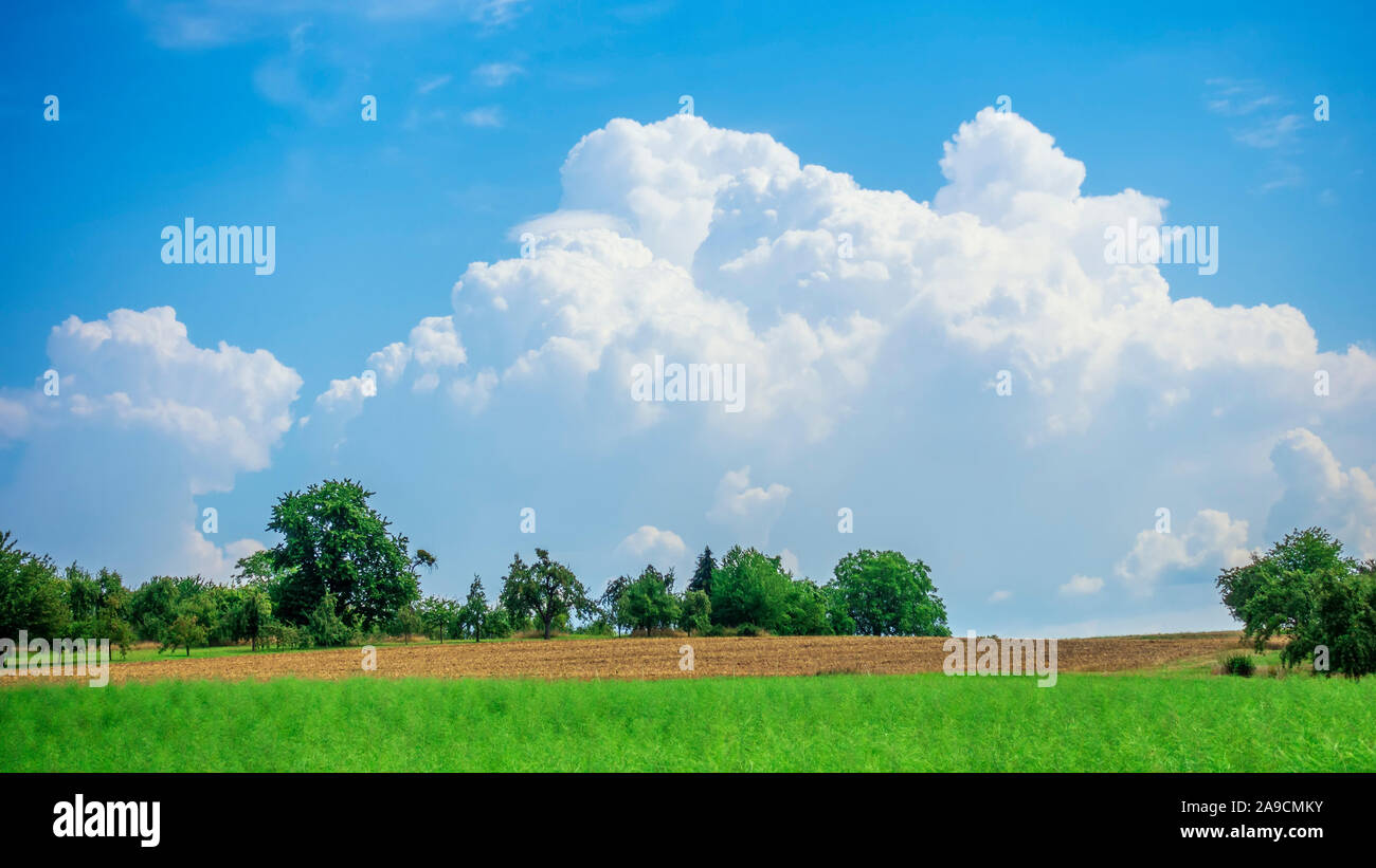 Una immagine di un tipico paesaggio agricolo con grande cloudscape Foto Stock