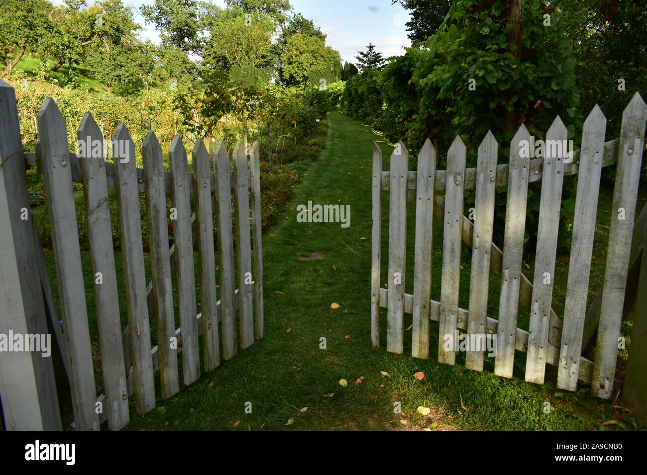 White Picket Fence cancello che dà accesso al percorso di erba in giardino verde Foto Stock