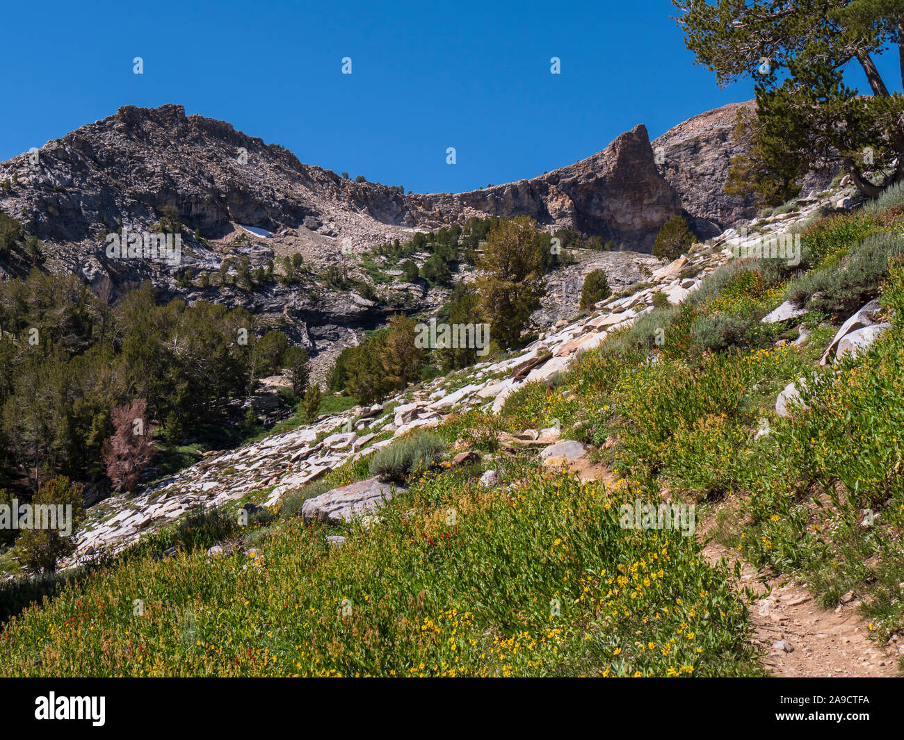 Isola Lago Trail, Lamoile Canyon, Ruby Mountains vicino Elko, Nevada. Foto Stock