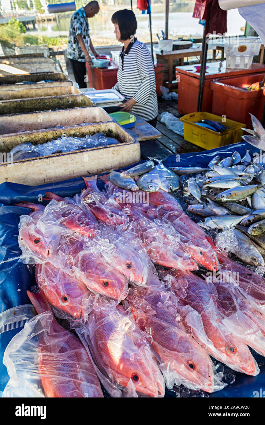 Pesce fresco in vendita in stallo del mercato, Miri, Malaysia Foto Stock